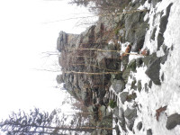 devet-skal-21-02-04-12-14-02-mtaefitapb.jpg