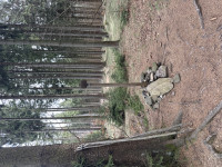 frysavsky-kopec-25-03-30-02-35-01-ntxa8a6qot.jpg