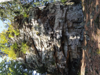 lisovska-skala-22-08-29-12-21-53-myv2x8s7z4.jpg