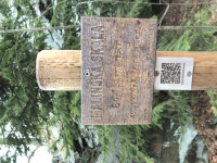 malinska-skala-20-03-28-06-20-52-8nqovjlzyr.jpg