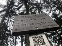 pohledecka-skala-21-05-01-10-02-45-fdlk0tbhuj.jpg