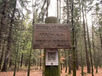 sindelny-vrch-23-11-17-11-42-14-29llfsd9xe.jpg