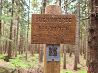 suchy-kopec-20-06-06-01-14-57-pr6mv9mnbm.jpg