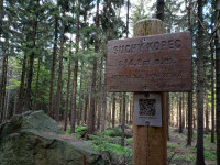 suchy-kopec-21-06-04-06-26-06-gvfbsx5hwv.jpg