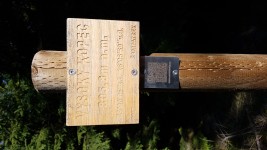 vysoky-kopec-18-10-06-02-33-23-uy9z6kt18w.jpg