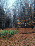zakova-hora-22-10-22-03-29-20-hmtr5pxen4.jpg